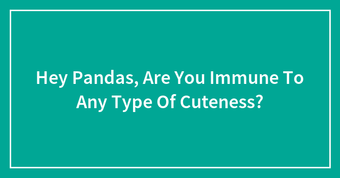 Hey Pandas, Are You Immune To Any Type Of Cuteness? (Closed)