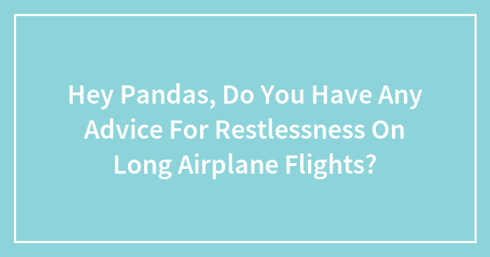 Hey Pandas, Do You Have Any Advice For Restlessness On Long Airplane Flights? (Closed)