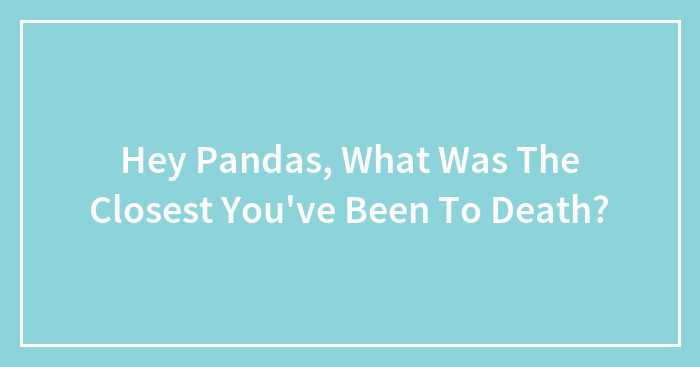 Hey Pandas, What Was The Closest You’ve Been To Death?