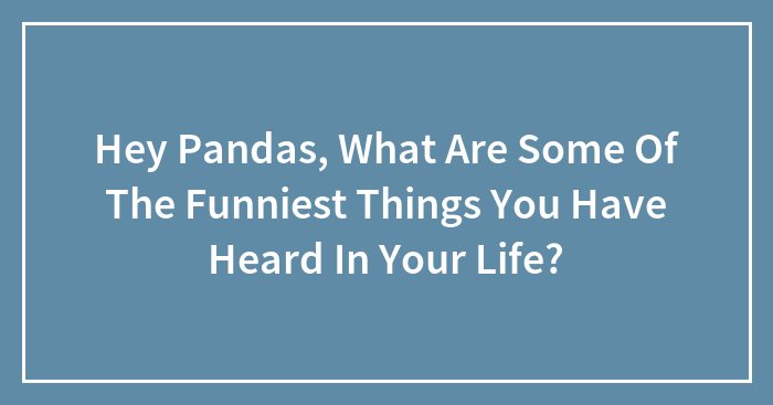 Hey Pandas, What Are Some Of The Funniest Things You Have Heard In Your Life? (Closed)