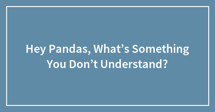 Hey Pandas, What’s Something You Don’t Understand? (Closed)