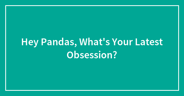 Hey Pandas, What’s Your Latest Obsession?