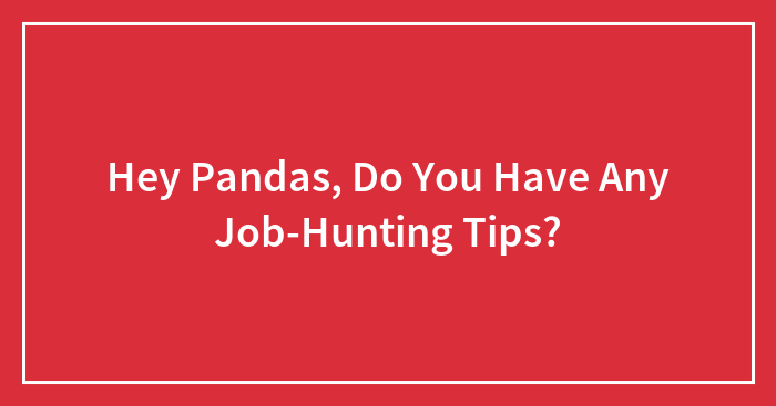 Hey Pandas, Do You Have Any Job-Hunting Tips? (Closed)