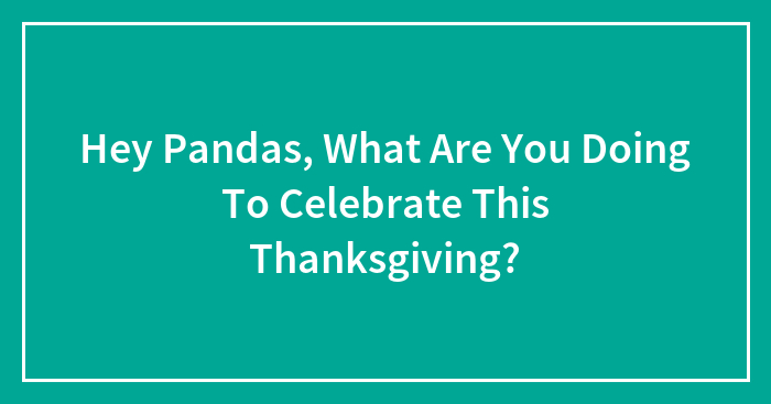 Hey Pandas, What Are You Doing To Celebrate This Thanksgiving? (Closed)