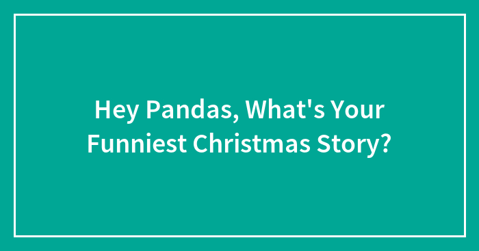 Hey Pandas, What’s Your Funniest Christmas Story?