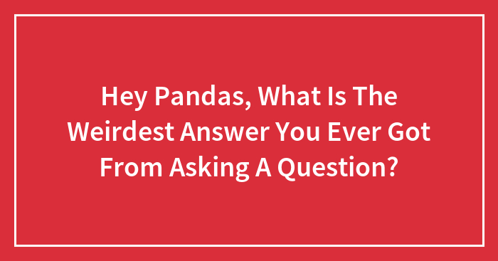 Hey Pandas, What Is The Weirdest Answer You Ever Got From Asking A Question?