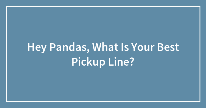 Hey Pandas, What Is Your Best Pickup Line?