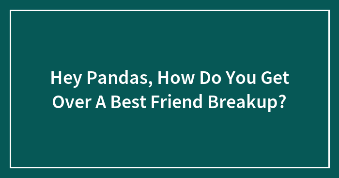 Hey Pandas, How Do You Get Over A Best Friend Breakup? (Closed)