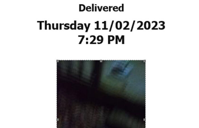 Hey Pandas, Show Us Your “Best” Delivery Confirmation Photo (Closed)