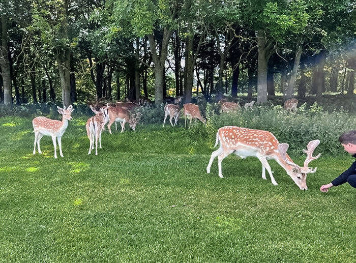 It's The First Time I've Ever Fed A Deer. They're So Cute And Friendly