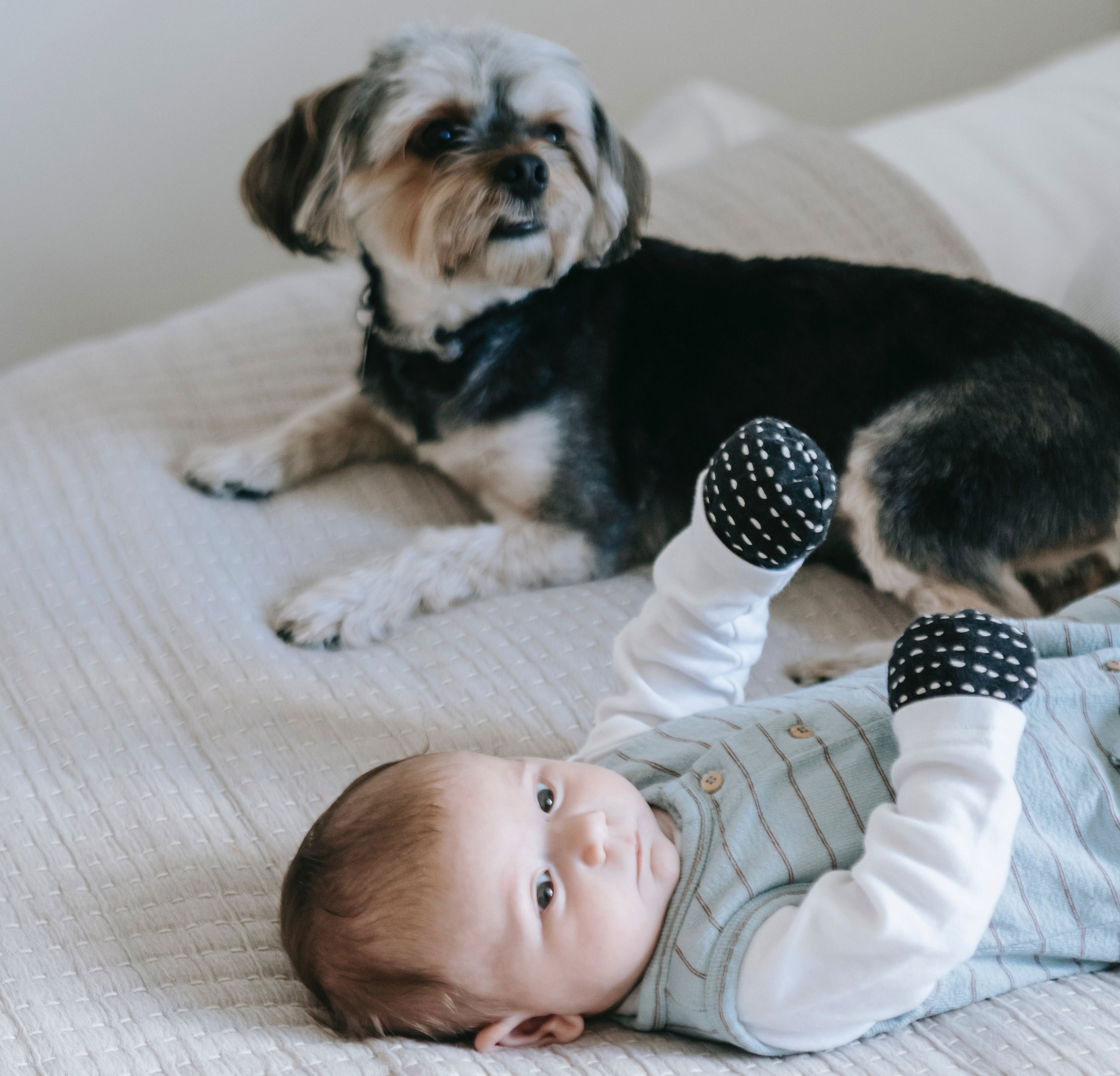 baby lying on the bad near the dog