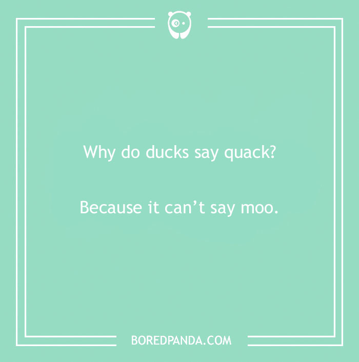 149 Duck Puns That Might Quack You Up | Bored Panda