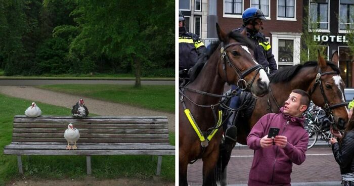 70 Lucky Coincidences Captured In The Streets By This Photographer