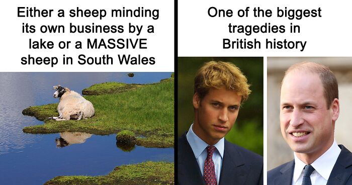  83 UK Memes To Give You A Good British Laugh, As Seen Online