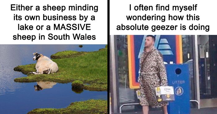 83 British Memes To Laugh Your Way To The Land Of Tea And Crumpets