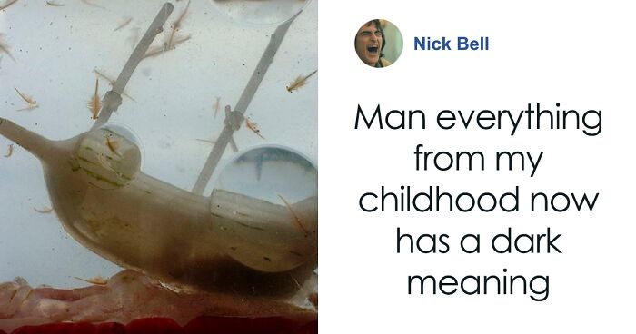 Woman Shares Nostalgic Video Featuring Sea Monkeys As Dark Truth About Creator Is Unveiled