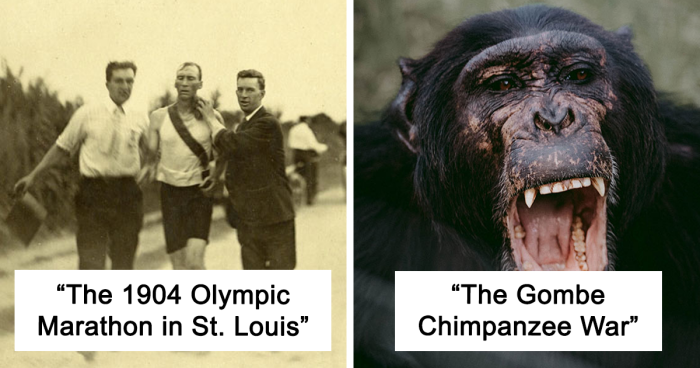 39 People Share History Events So Ridiculous, They Sound Fake