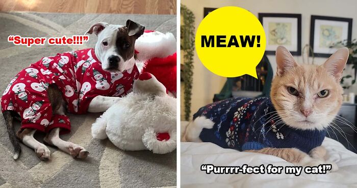 29 Things From Amazon To Help You And Your Pet Get In The Holiday Spirit