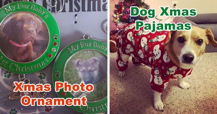 29 Things From Amazon To Help You And Your Pet Get In The Holiday Spirit