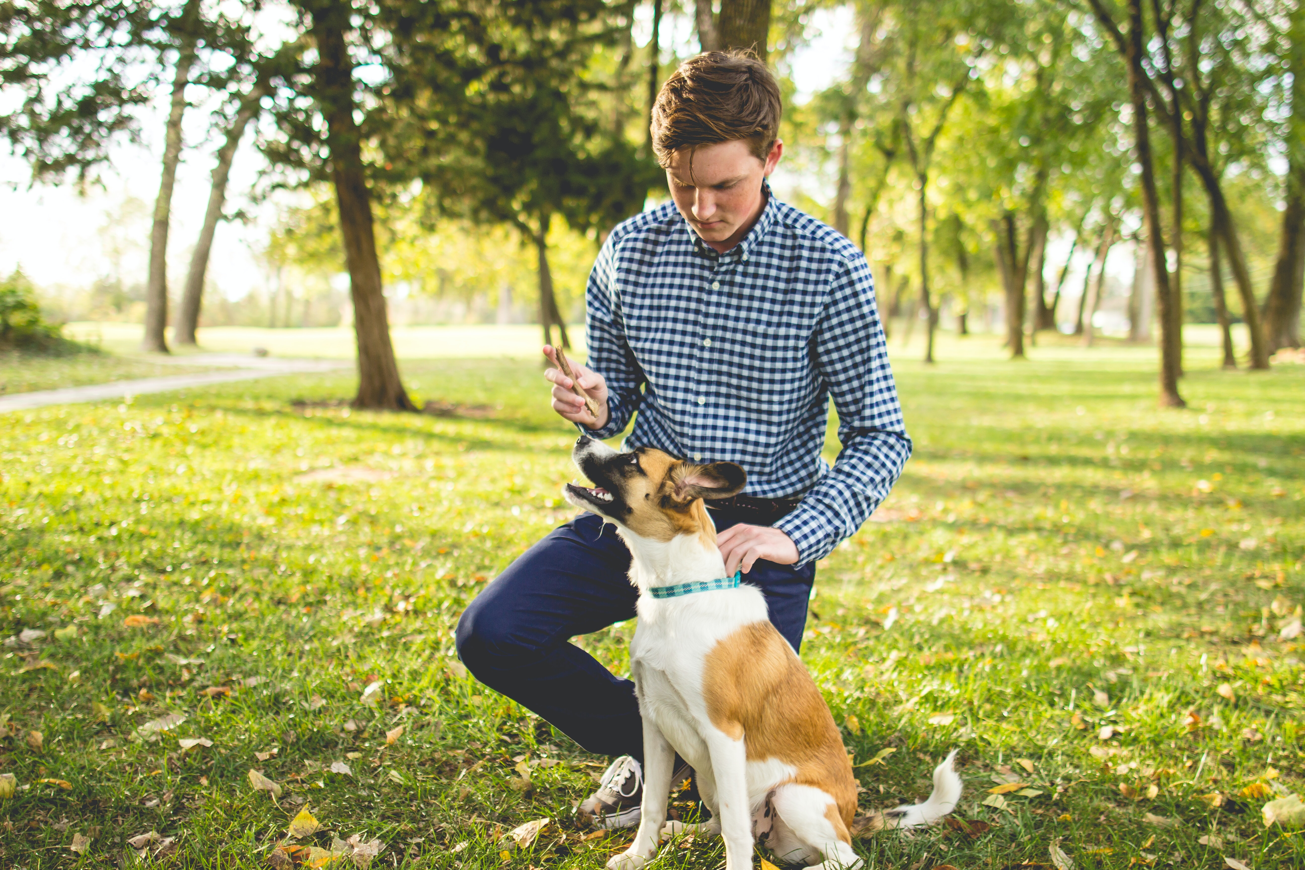 Man training dog in the park