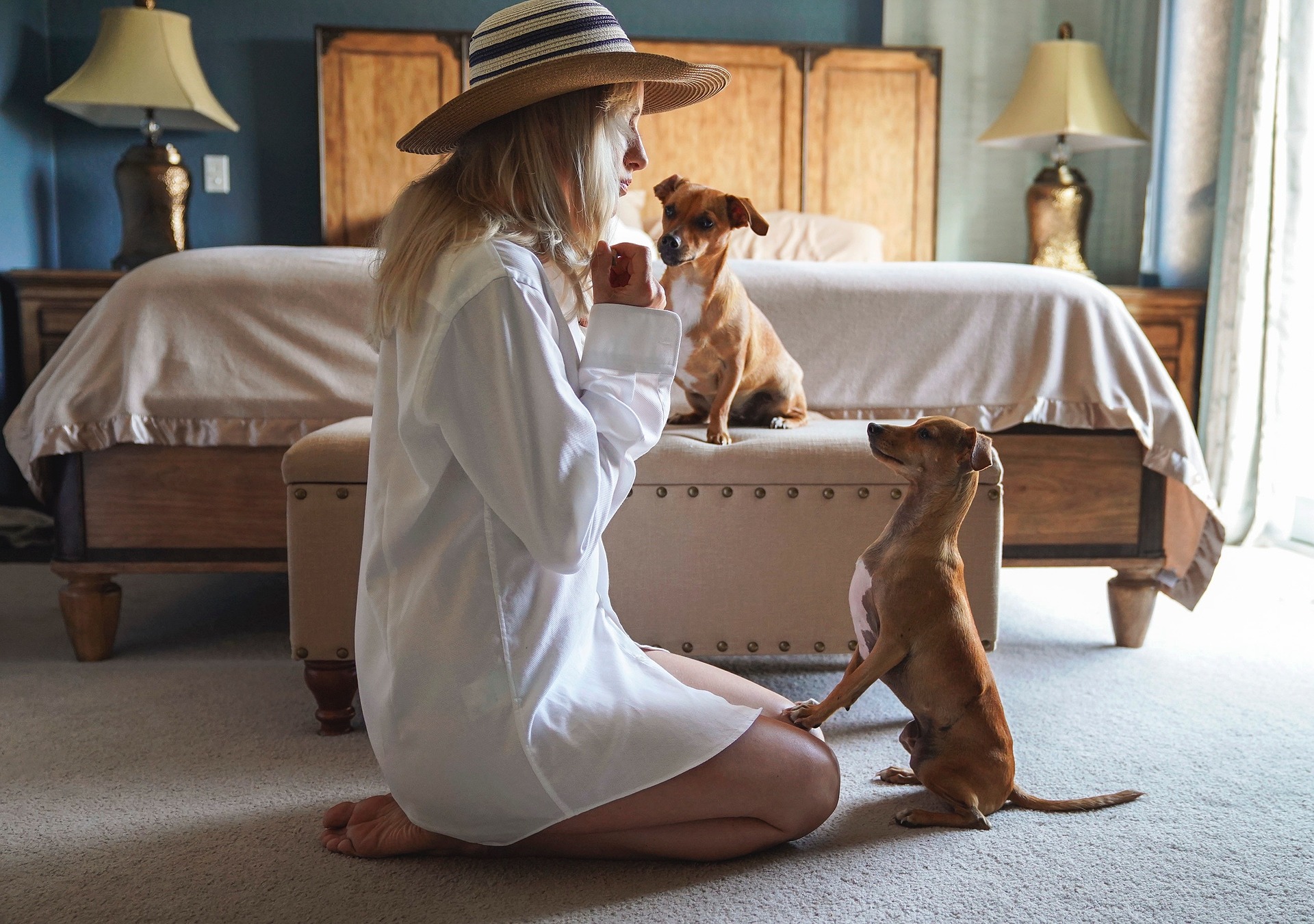 Woman training two dogs