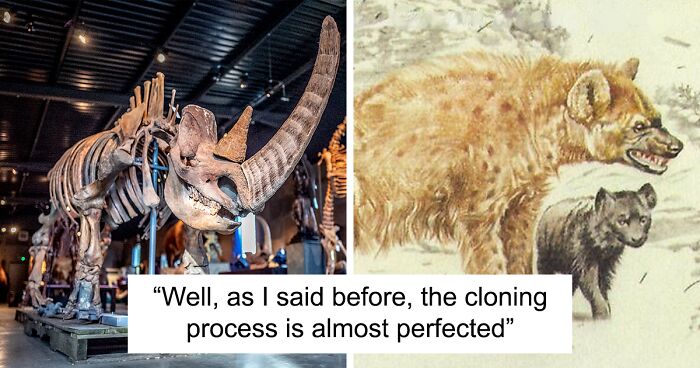 Scientists Unlock Ancient Mysteries As Wooly Rhinoceros DNA Is Revealed In Prehistoric Poop