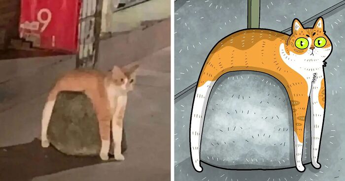 This Artist Continues To Recreate Already Funny Cat Pics Into Even Funnier Drawings (67 New Pics)