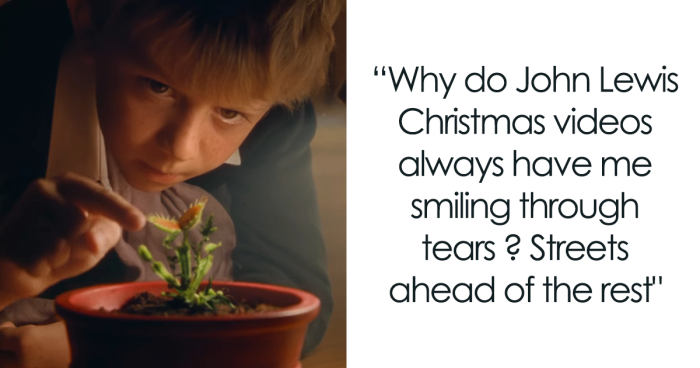 New John Lewis Christmas Ad Back On Track With The Spotlight On A Venus Flytrap