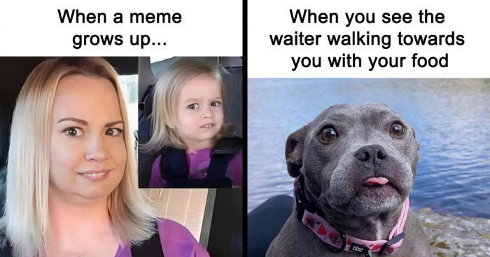 140 Hilarious Posts From “Laughing At My Own Memes” That Might Make You Chuckle