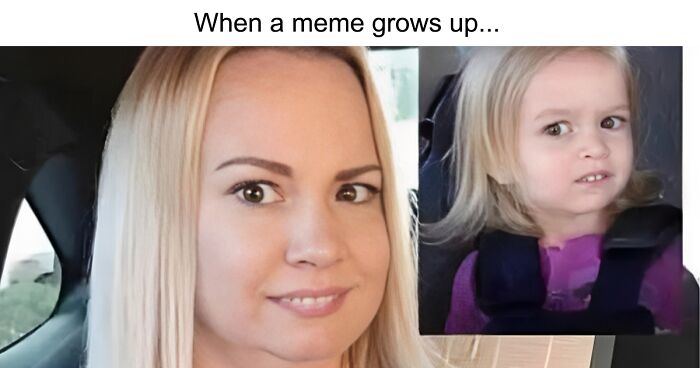 140 Times “Laughing At My Own Memes” Shared Silly Pics That Might Make You Laugh Too