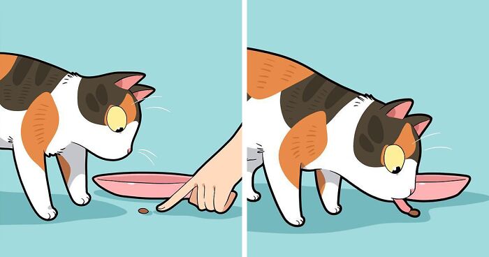 Artist Illustrates What The Life Of A Cat Owner Looks Like (30 New Comics)