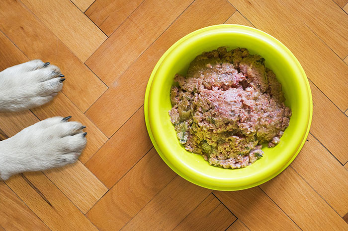 Yellow plate with food for dogs.