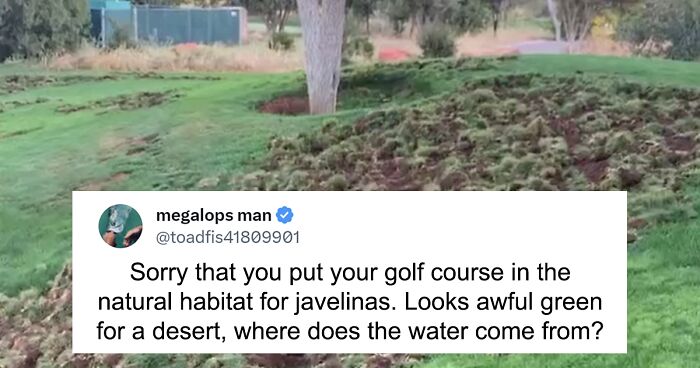 Javelinas Are Ruthless On An Arizona Golf Course And Folks Online Are Cheering Them On