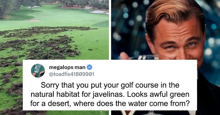 “Golf: Boring Sport For Rich People”: People Online Are Happy For Javelinas Ruining A Golf Course