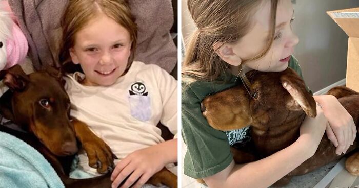 Heartwarming Reunions: 48 People That Got Surprised By Custom Plushies Of Their Lost Pets Made By This Company