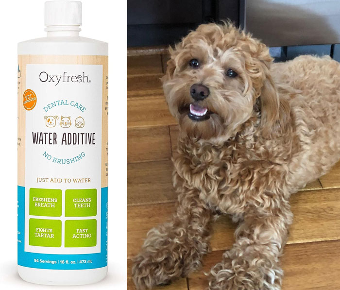 Pet Dental Care Solution Pet Water Additive: That helps eliminate bad breath, clean teeth, and gums while bypassing the usual toothbrush fuss, just by adding a capful to your pet's water each day!