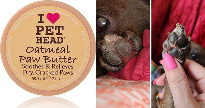 Pet Head Oatmeal Natural Paw Butter: The go-to solution for keeping your pet's paws healthy and nourished, ensuring their comfort in all climates while defending against cracks and dryness.