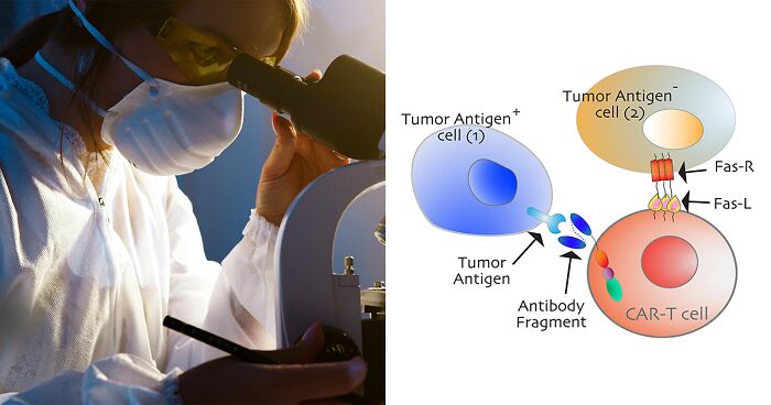 Scientists Make Progress In Cancer Treatment, Find Way To Detonate “Doors” That Lead To Tumors