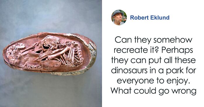 Researchers Discover Perfectly Preserved Dinosaur Embryo, Solving Mysteries About Species Growth