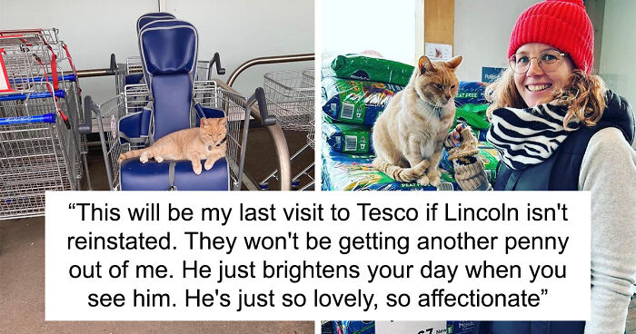 Yorkshire Tesco Cat Ban Backfires As People Threaten To Stop Shopping There If Cat Is Not Reinstated