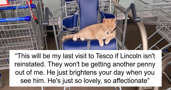 People Are Not Happy About Tesco Kicking Out Beloved Orange Cat Due To “Health And Safety Reasons”