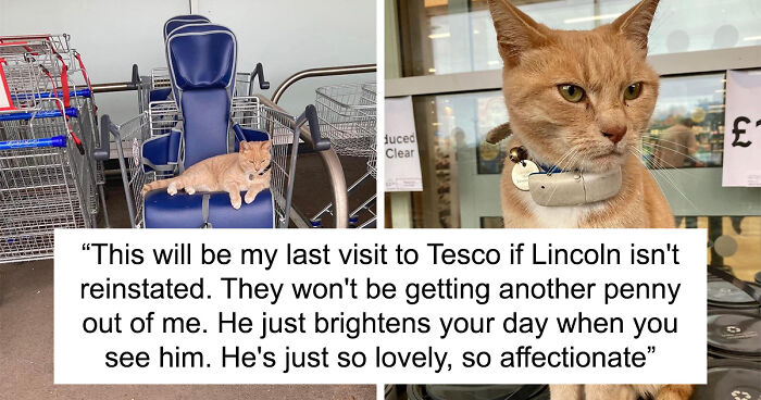 Shoppers Get Their Claws Out Threatening To Boycott Tesco After Beloved Cat Is Banned From The Store