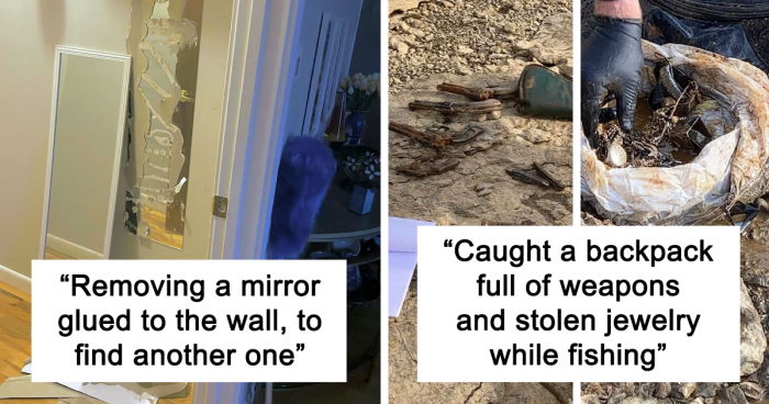 133 Unexpected Findings People Shared From Their Day-To-Day Lives (New Pics)