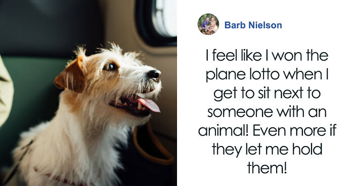 “Never Had A Dog Kick My Seat”: Survey Shows That People Favor Pets Over Children As Seating Companions