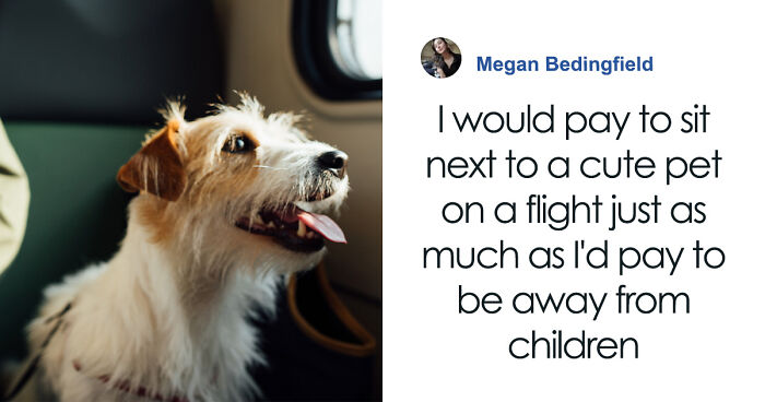 Survey Shows That Most Travelers Would Prefer To Sit Next To Pets Rather Than Children