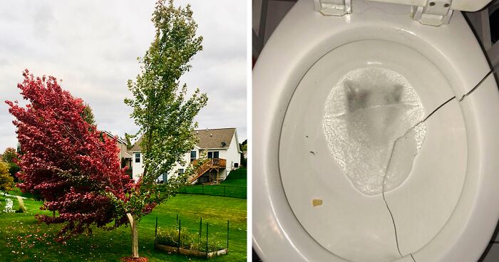 80 Times People Had The ‘Pleasure’ Of Seeing Mother Nature In Its Full Potential (New Pics)