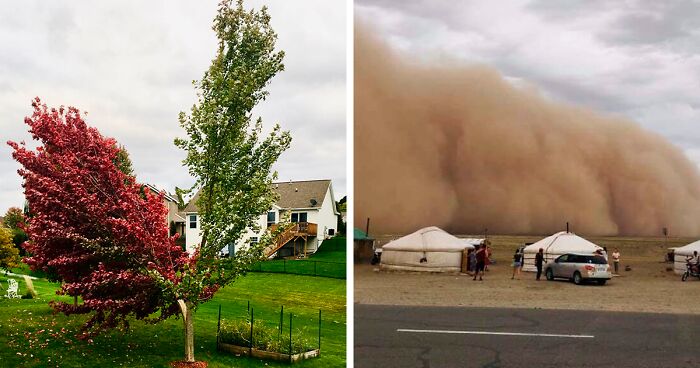 80 Photos Of Weather Gone So Wild, Folks Just Had To Snap A Pic (New Pics)