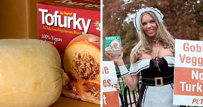 Animal Lovers Defend Vegan-Friendly Thanksgiving Turkey “Tofurky”