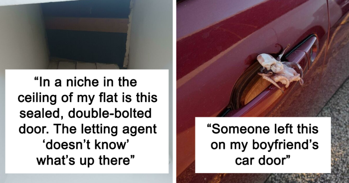 45 Of The Strangest, Creepiest Or Just Cringe Things Folks Ever Found At Their Doorstep