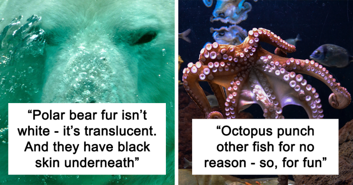 28 Cool And Surprising Animal Facts You Might Not Have Known